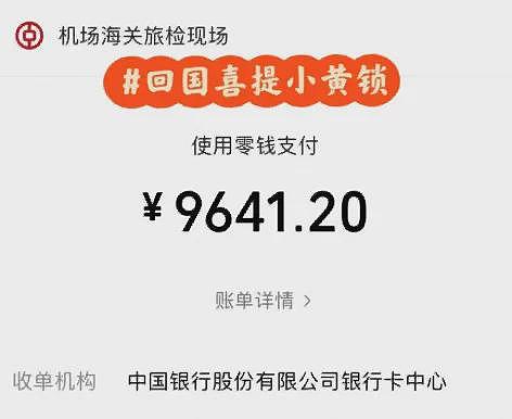 春节复飞！加拿大直飞回国$700+，大批华人落地惨提“大黄锁”：香奈儿、蔻驰遭查扣（组图） - 16