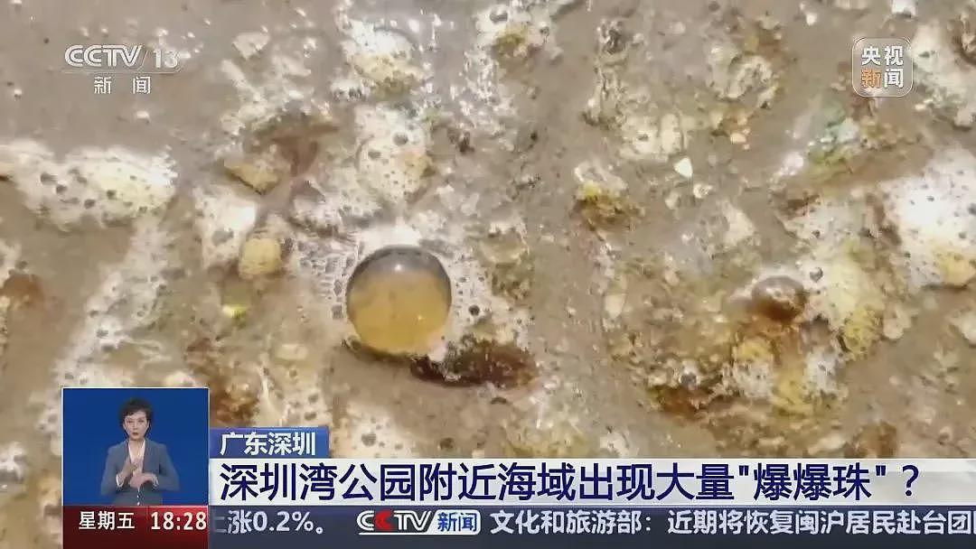 海边密集出现“爆爆珠”？多地提醒：不要下水！不要捡...（组图） - 1