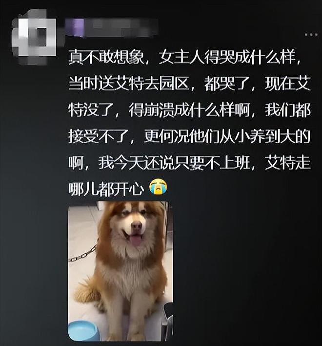 洗澡时突发心脏病去世……千万粉丝网红道歉：否认蹭流量，陈乔恩发声（组图） - 10