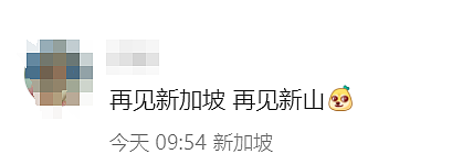 新加坡旁买年货险遭迷晕绑架，华裔女子亲述全过程！网友： 东南亚真的不安全了？（组图） - 2