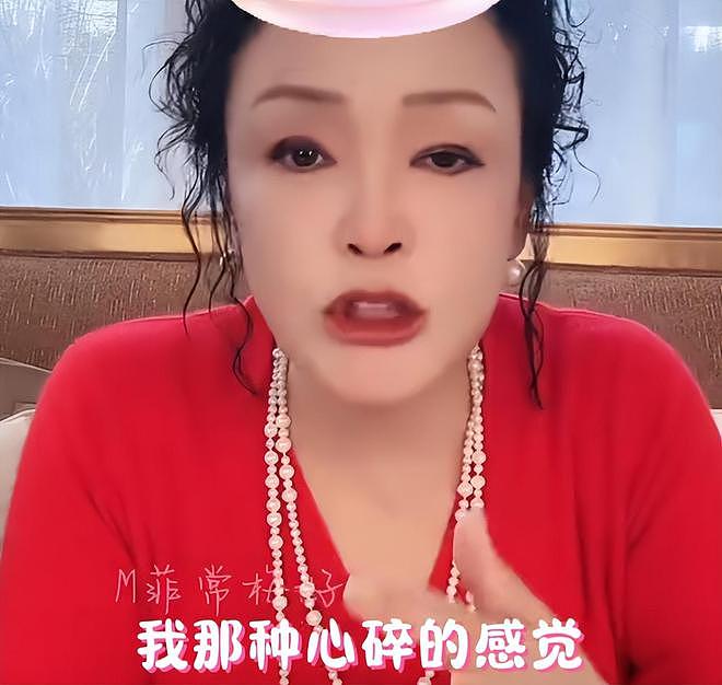 大S又搞针对？无视孩子意愿不让到北京过年，张兰直言心碎和无力（组图） - 12