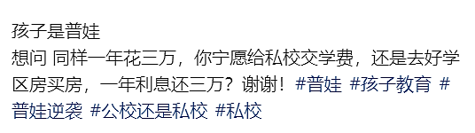 澳洲普娃一年花$3万上私校，还是买学区房？华人评论炸锅了！（组图） - 4