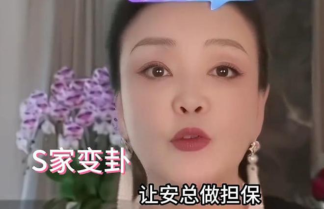 大S又搞针对？无视孩子意愿不让到北京过年，张兰直言心碎和无力（组图） - 14