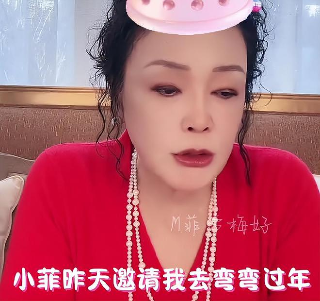 大S又搞针对？无视孩子意愿不让到北京过年，张兰直言心碎和无力（组图） - 11