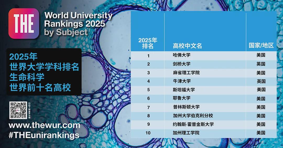 2025年泰晤士首个世界排名发布！墨尔本大学跌出前10，英美高校持续霸榜（组图） - 11