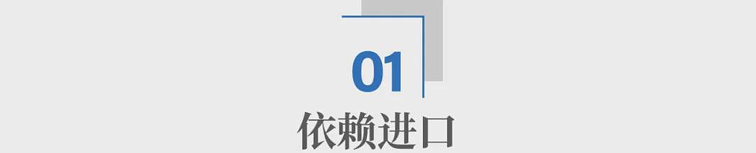 中国大飞机 终于穿上了“国产鞋” 含金量还在上升（组图） - 1