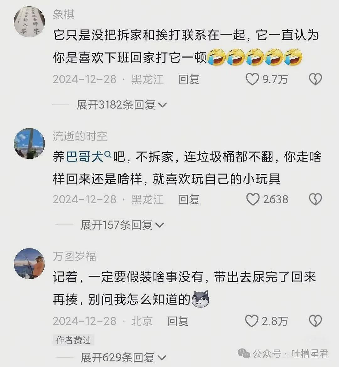 【爆笑】相亲对象邀请我过年和他舞龙舞狮…网友：哈哈哈俺不中嘞（组图） - 42