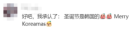 避雷！悉尼新年庆祝活动离大谱？华人集体炸锅：又要被韩国人抢走了？（组图） - 14