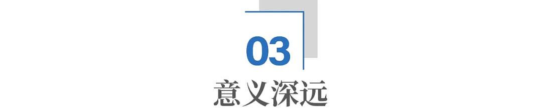 中国大飞机 终于穿上了“国产鞋” 含金量还在上升（组图） - 8