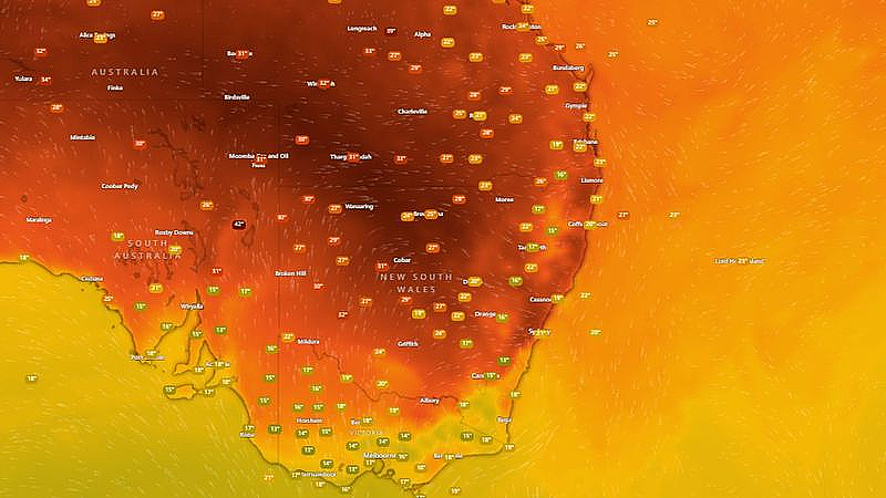 地狱模式开启！2025年悉尼最热一天来了，部分地区气温将达40℃以上...（组图） - 2