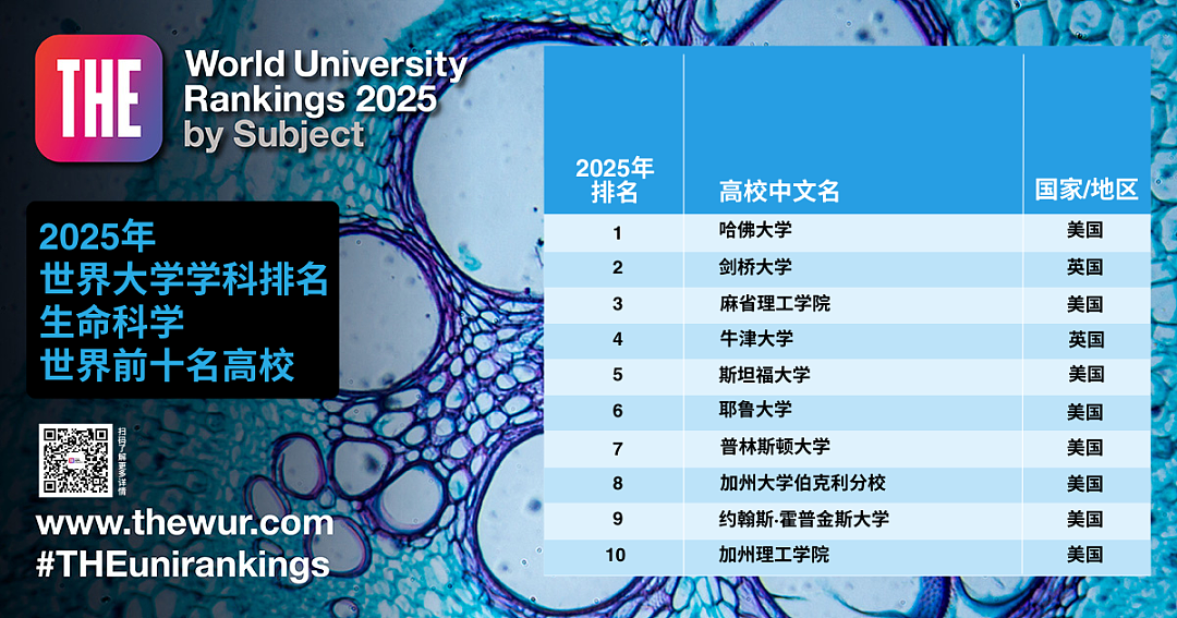 2025泰晤士高等教育世界大学学科排名正式揭晓，英美包揽所有学科第一名！（组图） - 16