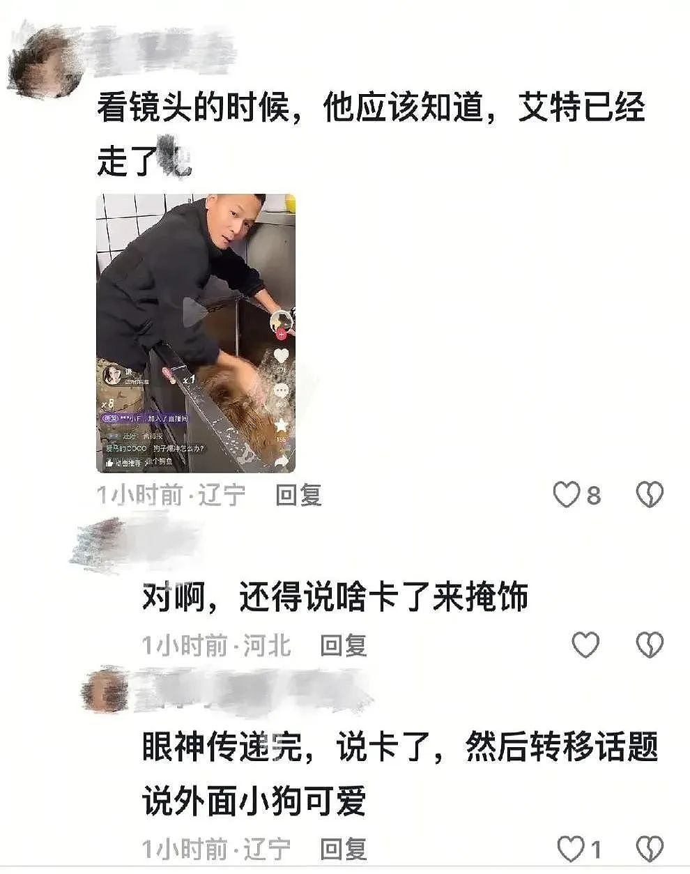 千万粉丝网红“潘宏”直播虐狗后被扒曾经犯过刑案？犯罪细节曝光让人心惊（组图） - 11