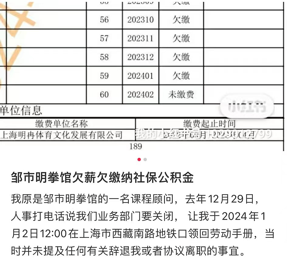 热搜！“拳王”败光上亿元家产？妻子卖包还债（组图） - 7