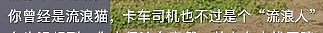 【宠物】58岁大叔“撸猫”5年爆火全网，吸粉70万，结局却让人哭惨了...（组图） - 19