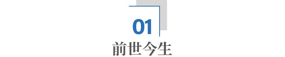 2万一个的“大路灯”：中产的育儿神器，还是智商税？（组图） - 2