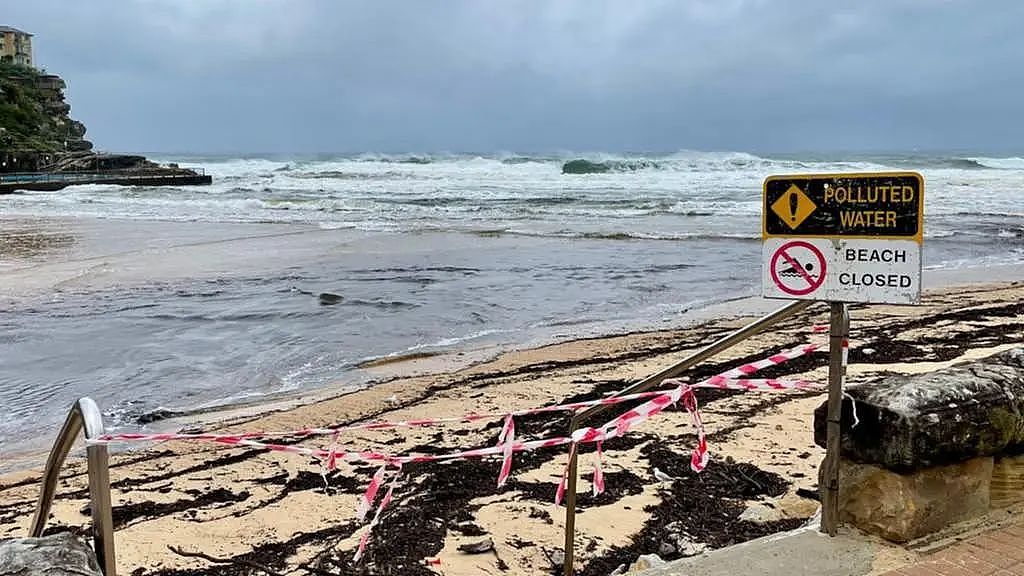 悉尼多地海滩“含粪量”超标！民众下水“粪泳”恐感染疾病（组图） - 2