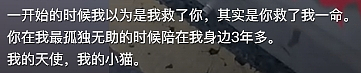 【宠物】58岁大叔“撸猫”5年爆火全网，吸粉70万，结局却让人哭惨了...（组图） - 20