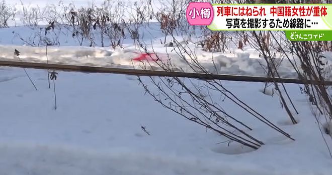 华人游客在日本遭列车撞击身亡，当地警方：为拍照闯入铁轨！详情披露，网友：很容易误入轨道（组图） - 2