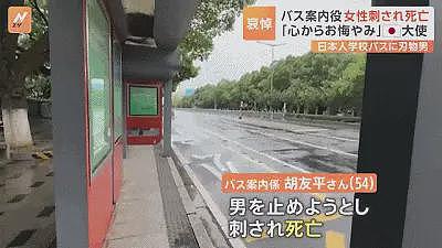 苏州日本母子遇袭案凶手被判死刑了，因债务压力厌世…（组图） - 6