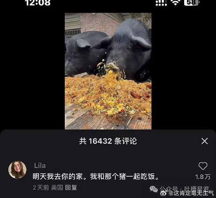 【爆笑】三年后我嫁给了闺蜜的老公…？网友：啊啊啊两句话一部连续剧（组图） - 55