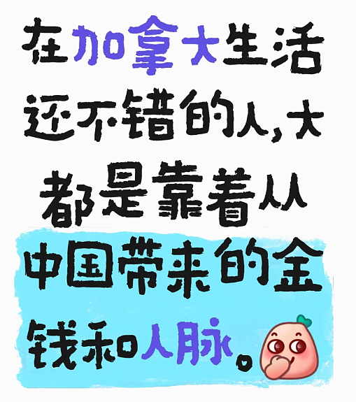 “毁了一生“！华人博士移民20年肠子悔青，特朗普加码“吞并“：减税+医疗大礼包（组图） - 5