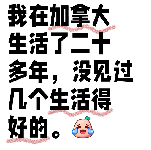 “毁了一生“！华人博士移民20年肠子悔青，特朗普加码“吞并“：减税+医疗大礼包（组图） - 3