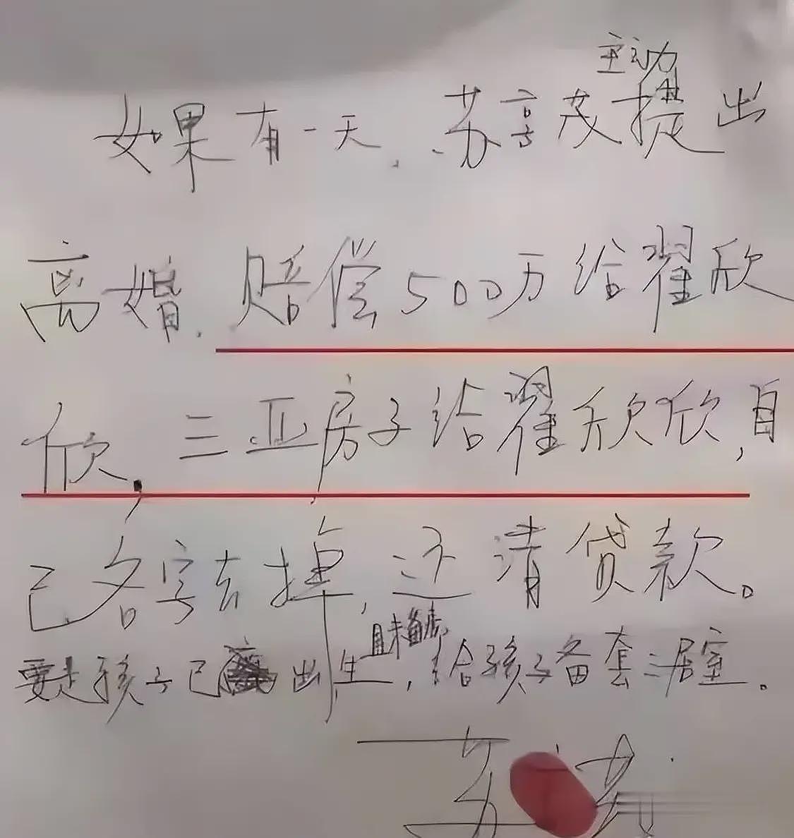 翟欣欣骗钱是为孝心？翟母委托人发声，“知情人”背后多重身份被扒（组图） - 11