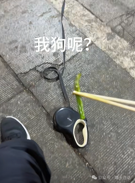 【爆笑】“差点撞破同事的秘密之恋？”啊啊啊啊啊送上门的八卦（组图） - 63