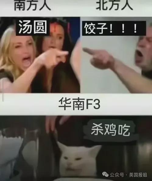 洋抖难民开始学过春节！研究本命年穿红内裤，连麻球都炸上了？中国网友：比南方人还会发面（组图） - 29