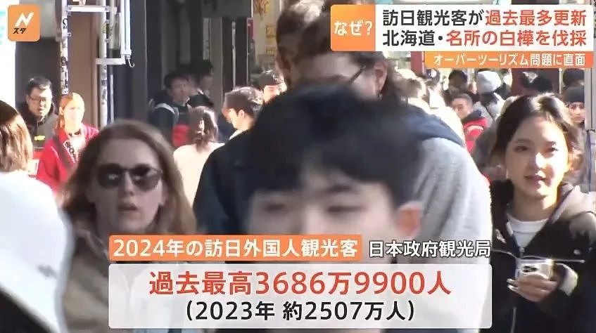 游客太多，素质极差，日本小镇居民亲手毁掉网红景点，砍光白桦林（组图） - 1