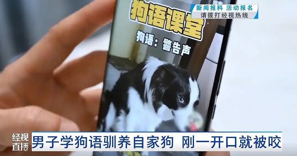 武汉男跟影片学“狗语”训犬，脸惨遭咬穿！医生：与狗对话有风险（组图） - 3