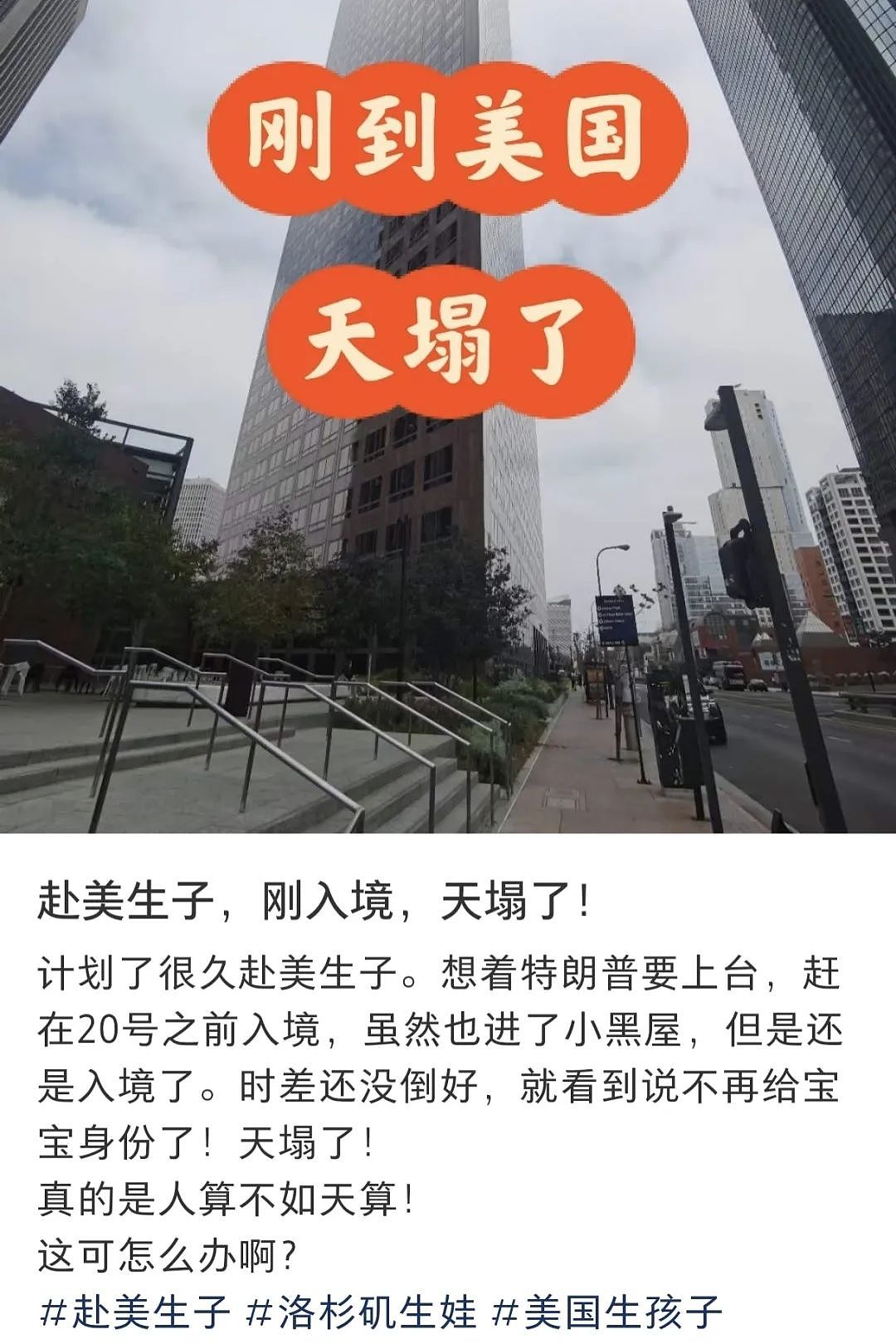 特朗普行政令被拦下，赴加生子咨询增多（组图） - 7