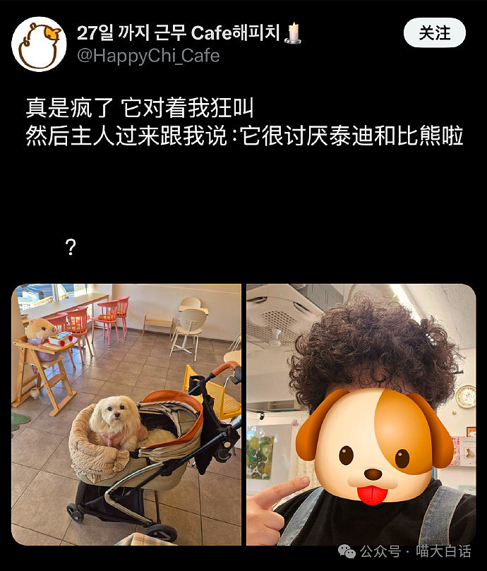 【爆笑】“把情趣用品发到宿舍群之后……”啊啊啊啊啊玩这么大吗（组图） - 25