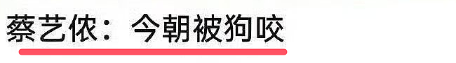 世纪大和解！曾相互诋毁当小三，给演员开后门被暴打，今握手言和实则暗流涌动（组图） - 32