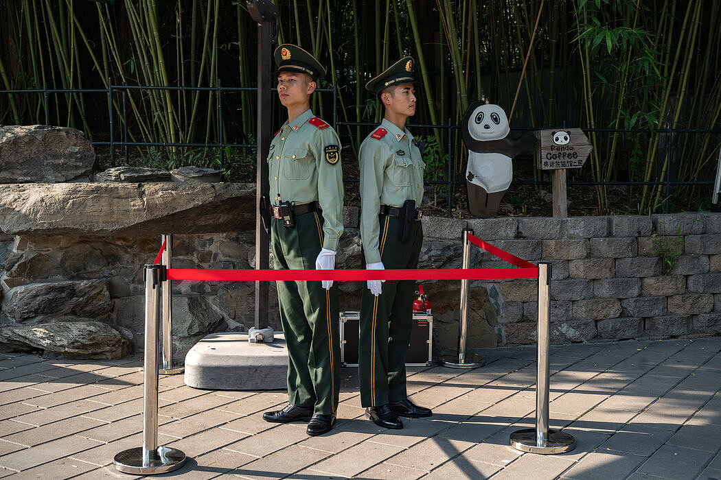 纽时：中国打击“熊猫饭圈”，禁止“极端粉丝文化”（图） - 2