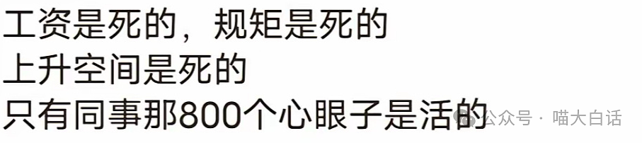 【爆笑】“把情趣用品发到宿舍群之后……”啊啊啊啊啊玩这么大吗（组图） - 12