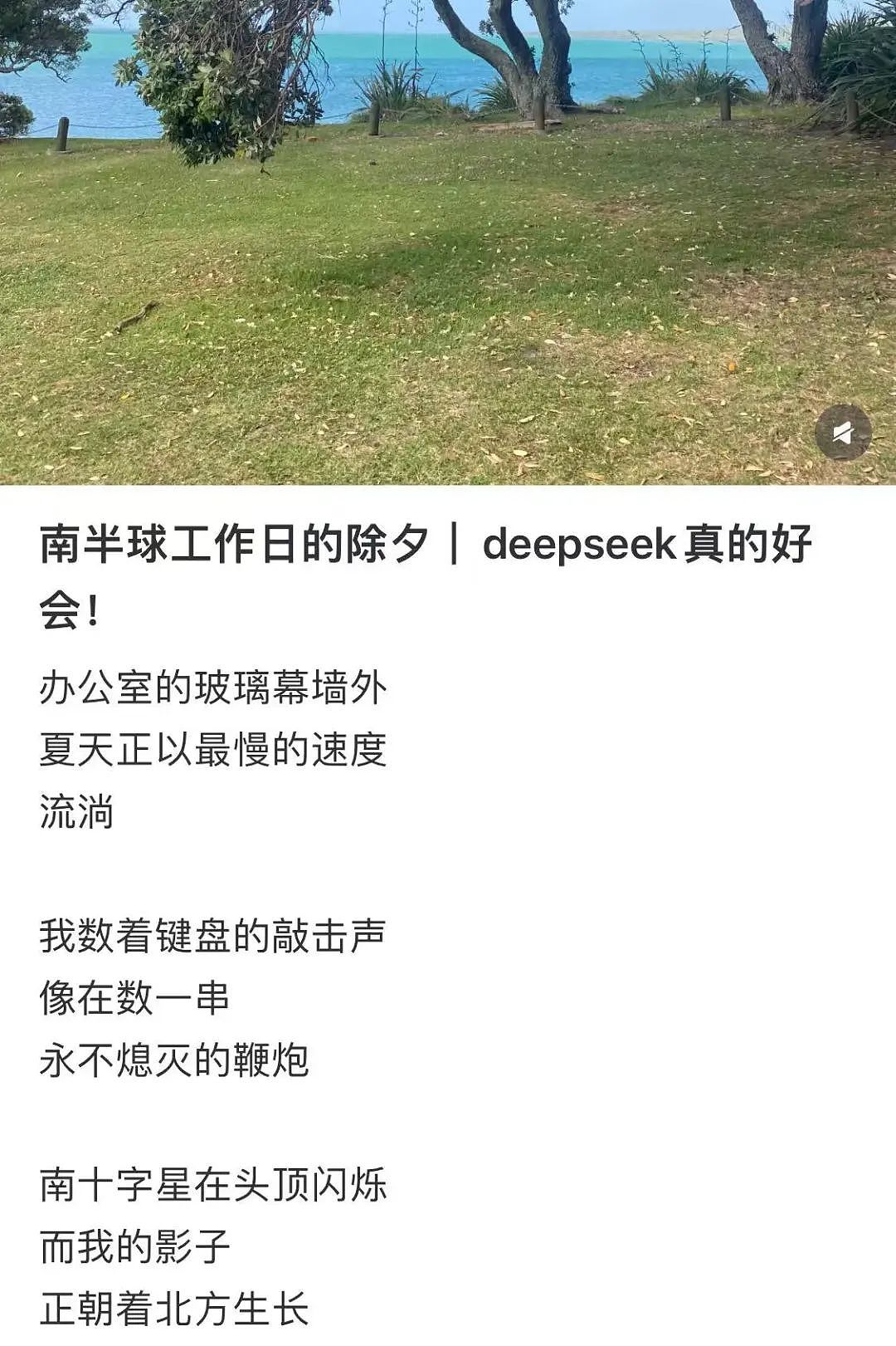 DeepSeek锐评新西兰，句句扎心，华人移民直呼“太毒舌”（组图） - 10