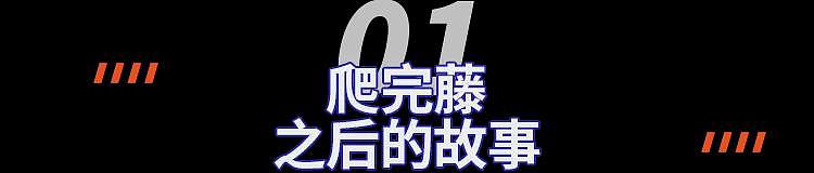 文科理科一个群，资产百万以上和百万以下的分个群…“卧底”爹妈组建的藤校相亲群，我惊呆了（组图） - 2