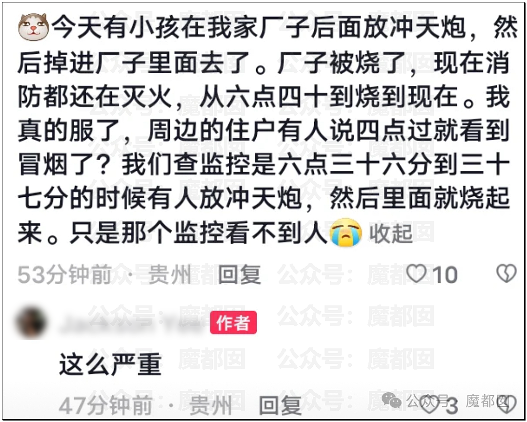 起火、燃烧、爆裂！随意燃放烟花爆竹后果惨不忍睹（组图） - 41