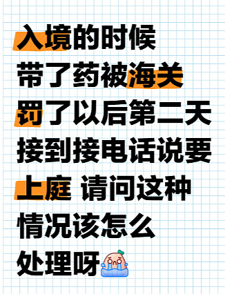 “血泪教训“！大批华人入境加拿大遭盘查+开箱：有人被关小黑屋！重罚$9000刀（组图） - 2