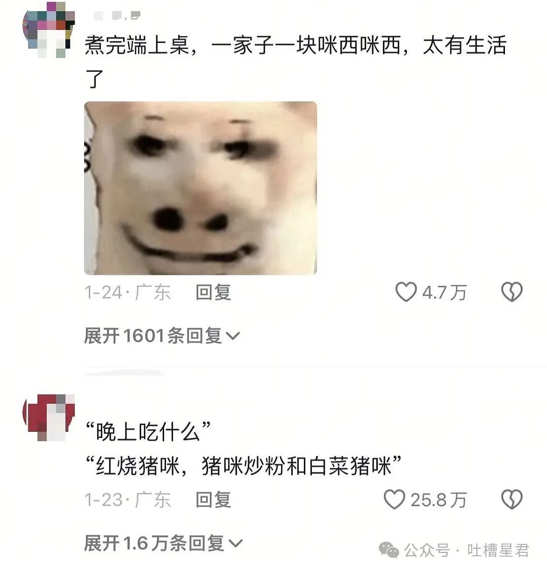 【爆笑】“妈妈网购猪肉打开一看天塌了...？”哈哈哈商家你的良心不会痛吗（组图） - 9