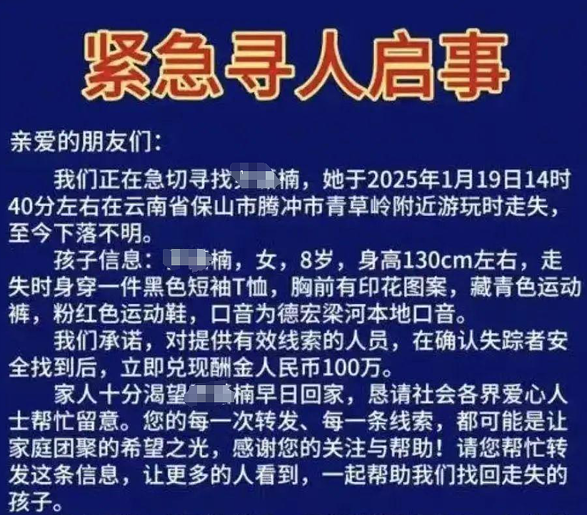 8岁女孩失踪百万悬赏400人地毯式搜寻毫无音讯，我却被网友“阴谋论”看吐了（组图） - 14