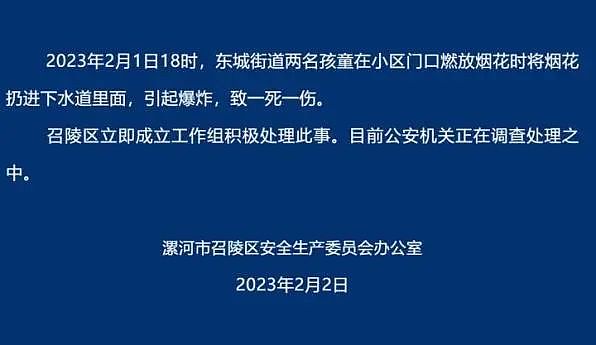 事发大年初二！孩子和家长都被警方带走！画面曝光，这件事必须重视（视频/组图） - 4