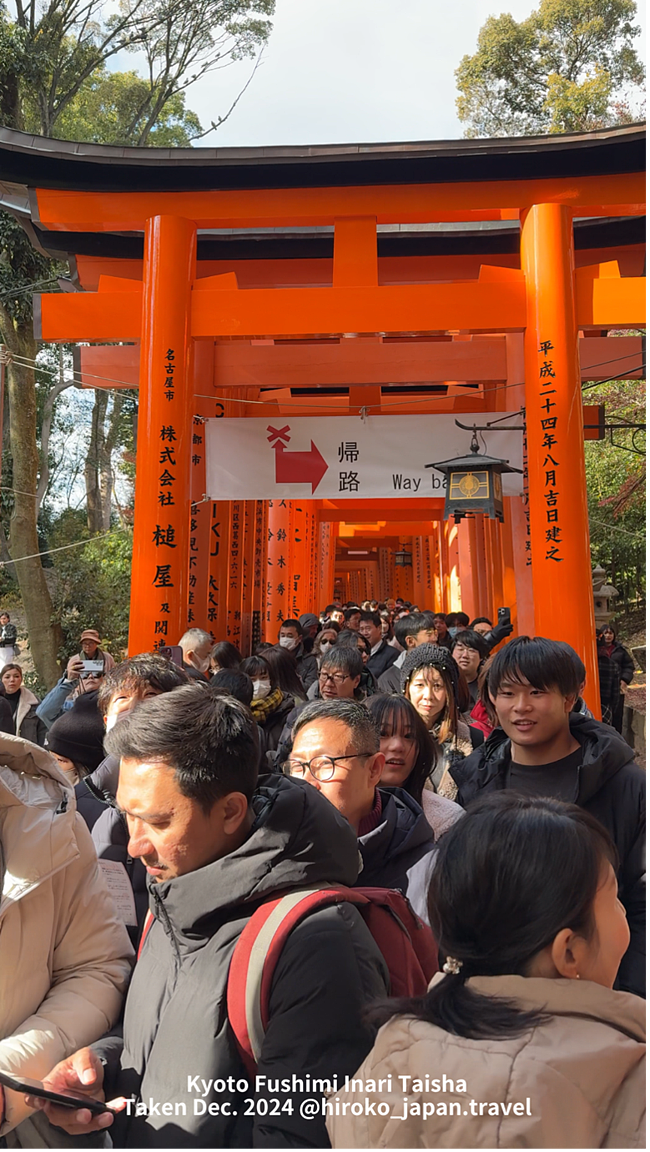 澳洲人挤爆日本旅游，日本呼吁：撑不住了，你们去别地儿玩吧（组图） - 2