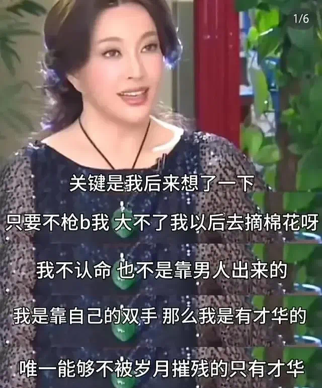 48岁李小冉女神人设崩塌：她被围剿的真相，与刘晓庆有关（组图） - 42