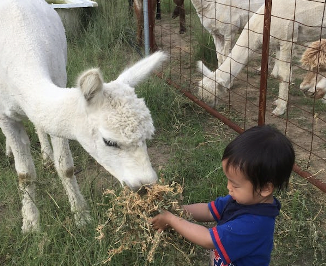 对不起，我要去悉尼疯玩了！悉尼二月份的活动太精彩，错过真的很可惜哦（组图） - 15