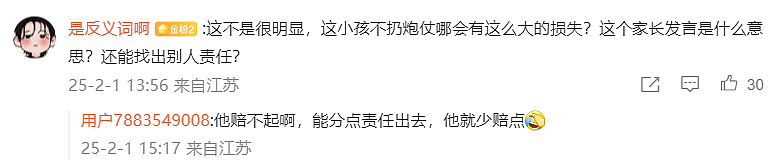 熊孩子往下水道扔鞭炮炸翻多辆豪车疑似是惯犯，看了孩子妈妈的声明我怒了...（视频/组图） - 17