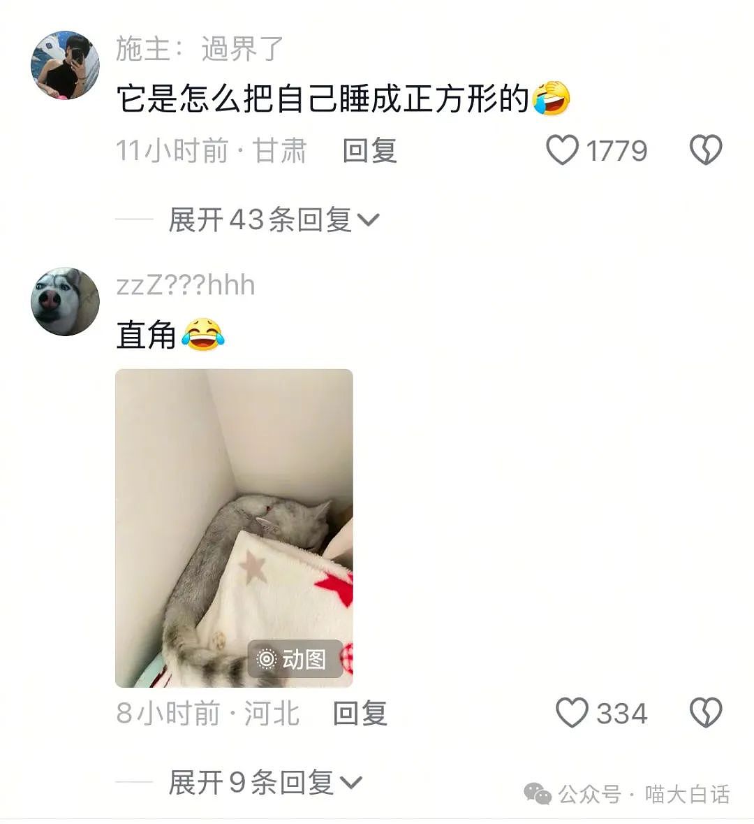 【爆笑】“拒绝妈妈安排的相亲之后......”哈哈哈哈哈是自由的味道！（组图） - 41