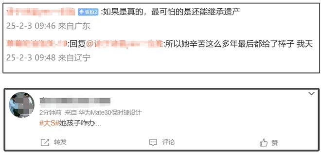 大S去世，网友担忧具俊晔继承更多遗产，孩子无人管（组图） - 19