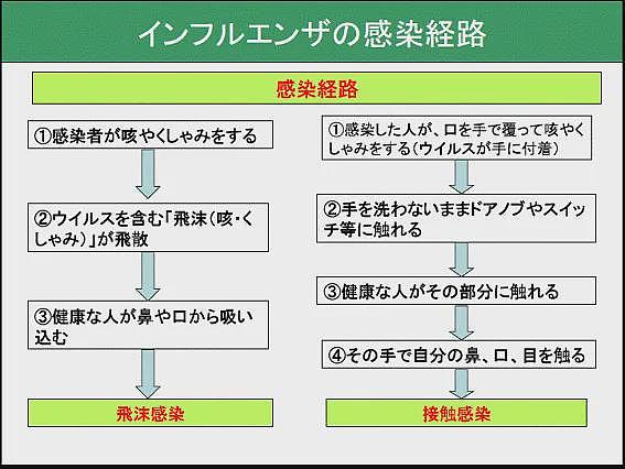 大S游日本感染流感去世！这个病毒到底多可怕？日本医疗又有多佛系？（组图） - 9